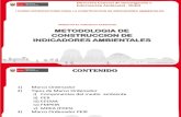 05-Marco Ordenador de Indicadores.pdf