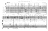 [ ]--concerto-brandenburg---bwv-1048-.pdf