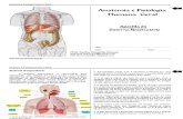 Anatomia e Fisiologia humana geral.pdf