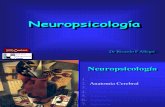 002 Modelos Neuropsicologicos