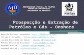 Prospecção e Extração de Petróleo e Gás - Onshore