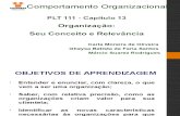 CAP 13 - REVISADO - Comportamento Organizacional.ppt
