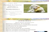 zoologia 1.pdf