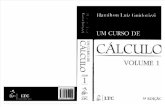 Um Curso de Cálculo Vol. 1, 5ª Ed.- Hamilton Luiz Guidorizzi