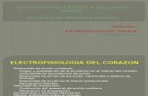 Electrofisiologia Del Corazon