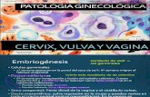 1. Patologia Cervical 2016