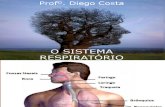 Aula de Sistema Respiratório Enfermagem PDF