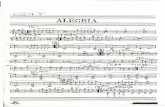 Alegria Violines0001