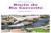 Perfil_Bacia do Rio Corrente.pdf