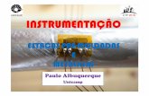 8 Paulo Albuquerque Instrumentação