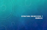 Estructuras Mecanicistas y Orgánicas