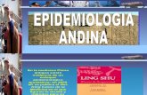 Epidemiologia Andina