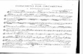 Concerto Para Orquestra 1