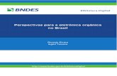 BS 40 Perspectivas Para a Eletrônica Orgânica No Brasil_P