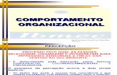 Slides de Comportamento Organizacional - 2016 - 1