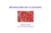 1-Metabolismo Del Glucogeno