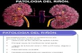 PATOLOGIA DEL RIÑON.ppt