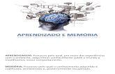 Aprendizado e Memória - Slides(NEUROCIENCIAS_Bear)