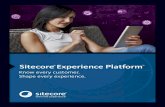 Experience Platform BR LTR Fin