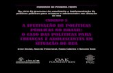 A Efetivacao de Politicas Publicas No Brasil