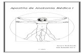 Apostila de Anatomia Médica I - SEGUNDA EDIÇÃO