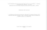A Formação Do Palhaço - Técnica e Pedagogia No Trabalho de Ângela de Castro, Esio Magalhães e Fernando Cavarozzi (184p)