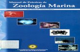 Manual Zoologia Marina
