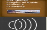 Portugueses Chegam Ao Brasil- Economia Canavieira
