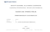 12._Guia_de_Preparados_galenicos (1).doc