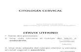 Citologia Cervical PDF