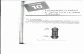 Capítulo 10 - Escoamento de fluidos em leitos fixos e colunas recheadas.pdf