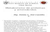FMH_CHI_2014_Metabolismo de proteínas y aminoácidos.ppt