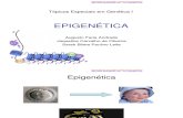 Metilação DNA_Tópicos.pdf