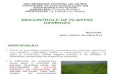BIOCONTROLE DE PLANTAS DANINHAS.ppt