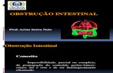 OBSTRUÇÃO INTESTINAL - Artur.pdf