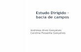 92684045 Estudo Dirigido Bacia de Campos