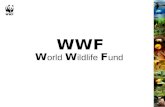WWF org. SAI