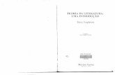 Teoria Da Literatura - Terry Eagleton - Introdução (O Que é Literatura)