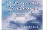Joao Calvino Salmos Volume 2