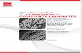 Microscopia compósito.pdf