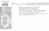 TEMA 46 HISTORIA DE LA GASTRONOMIA.pdf