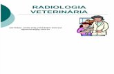 radiologia veterinaria apresentação da equipe
