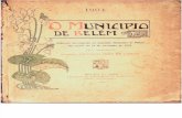 O município de Belém. Relatório de Antônio José Lemos. 1904