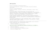 Aroeira - Schinus molle L. - Ervas Medicinais - Ficha Completa Ilustrada