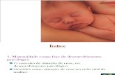 Psicologia da Gravidez e Maternidade - 3 (Gravidez como fase de Desenvolvimento Psicológico)