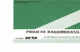 Projeto RADAMBRASIL v29