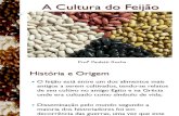 1_A cultura do Feijão_I