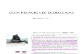 Guia Relaciones Ecologicas