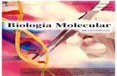 Relatórios de Biologia Molecular.pdf