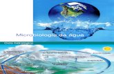 213_Aula - Microbiologia Da Agua